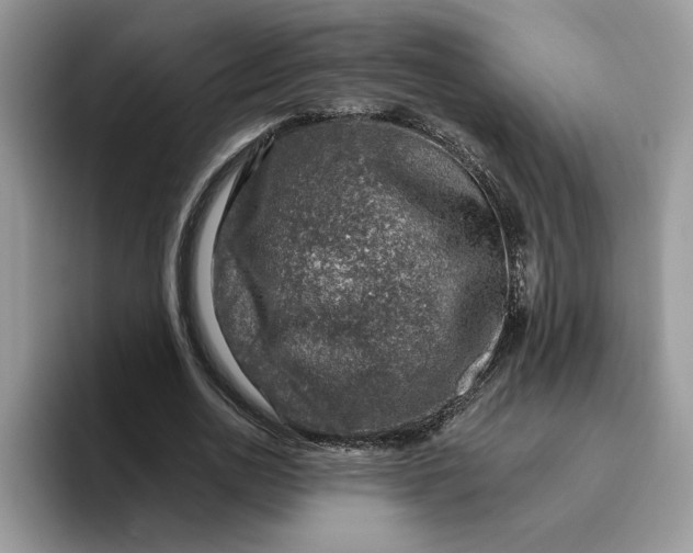 X0000095960726200801251149