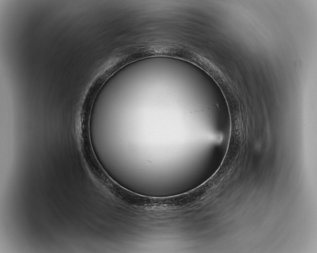 X0000095960730200801251149