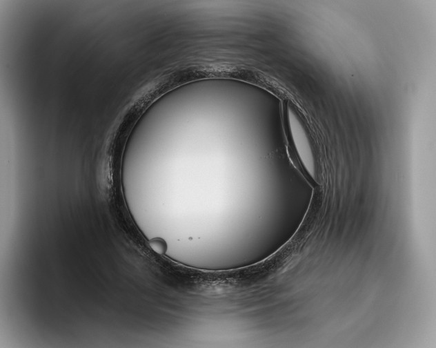 X0000095960731200801251149