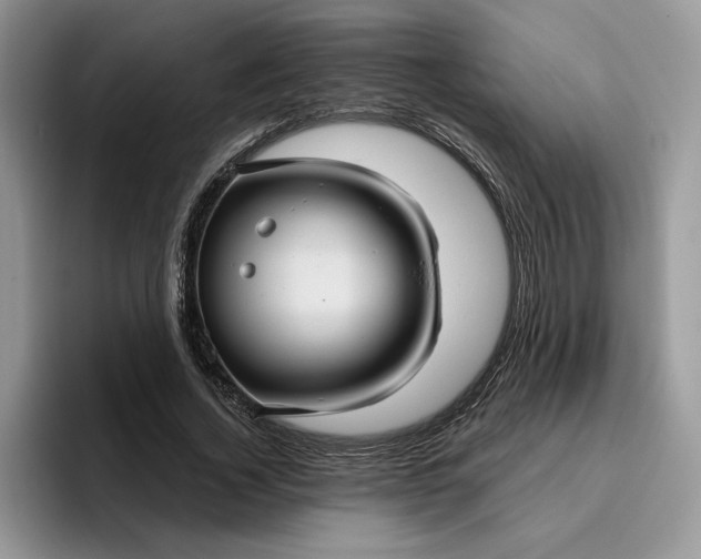 X0000095960732200801251149