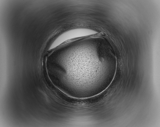 X0000095960735200801251149