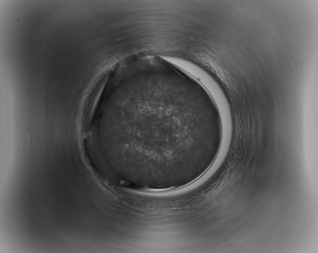 X0000095960736200801251149