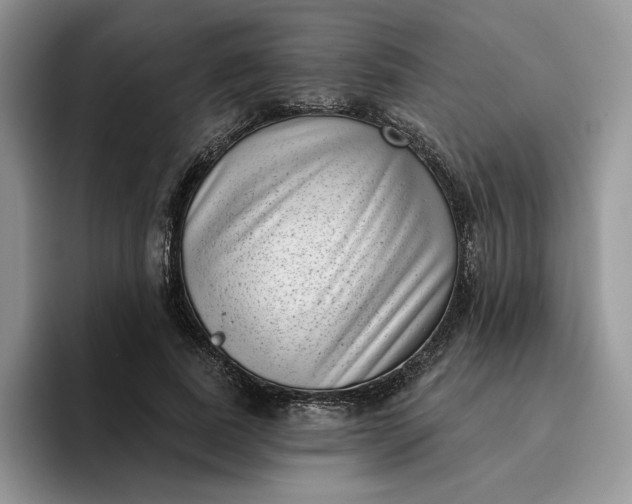 X0000095960739200801251149