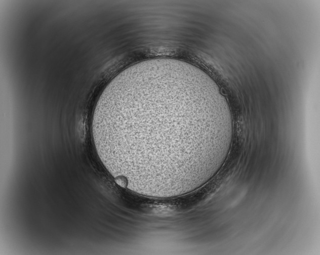 X0000095960741200801251149