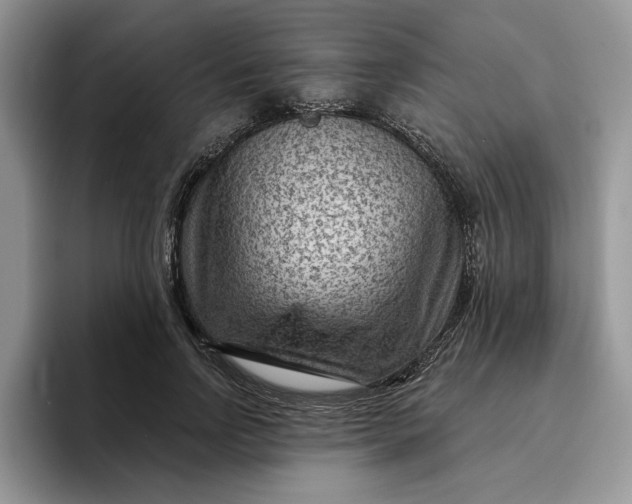 X0000095960742200801251150