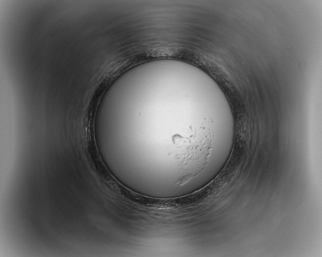 X0000095960743200801251150