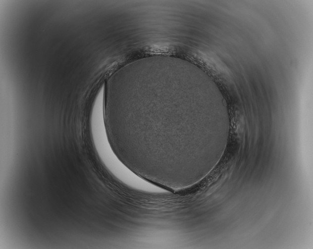 X0000095960744200801251150