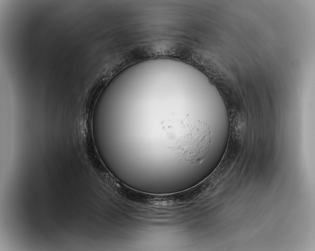 X0000095960746200801251150