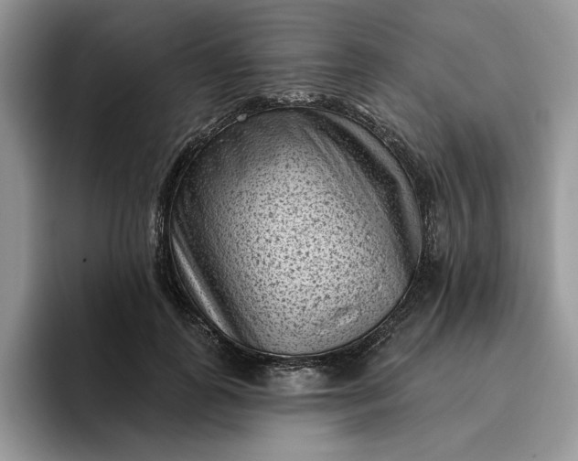 X0000095960747200801251150