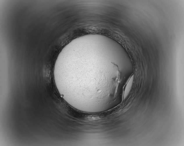 X0000095960749200801251150