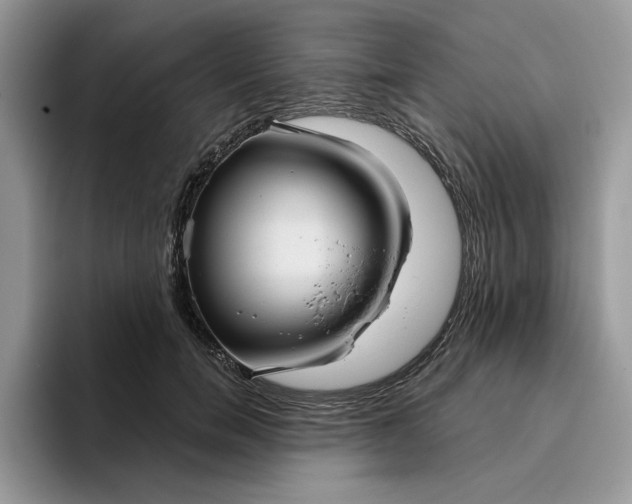 X0000095960750200801251150