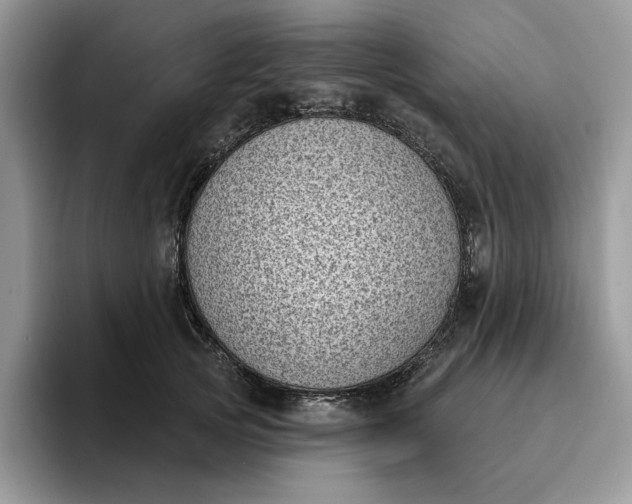 X0000095960753200801251150