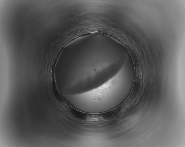 X0000095960754200801251150