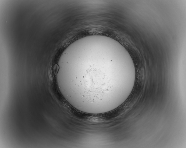 X0000095960755200801251150