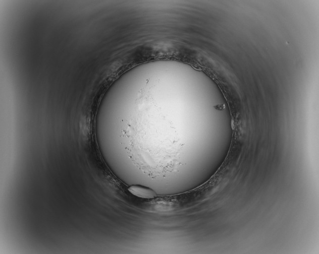 X0000095960756200801251150