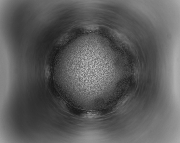 X0000095960758200801251150