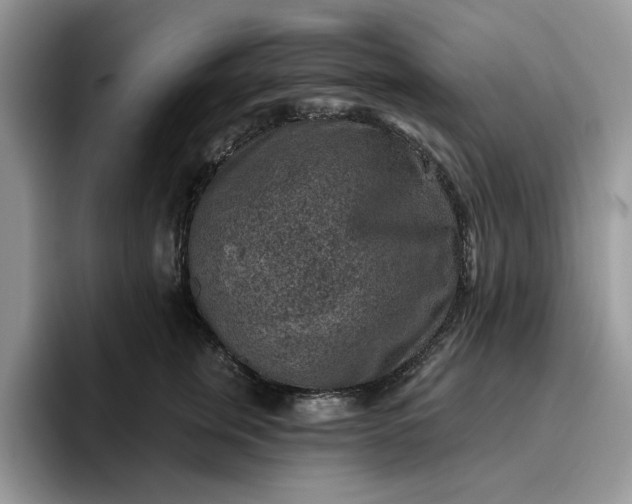 X0000095960759200801251150