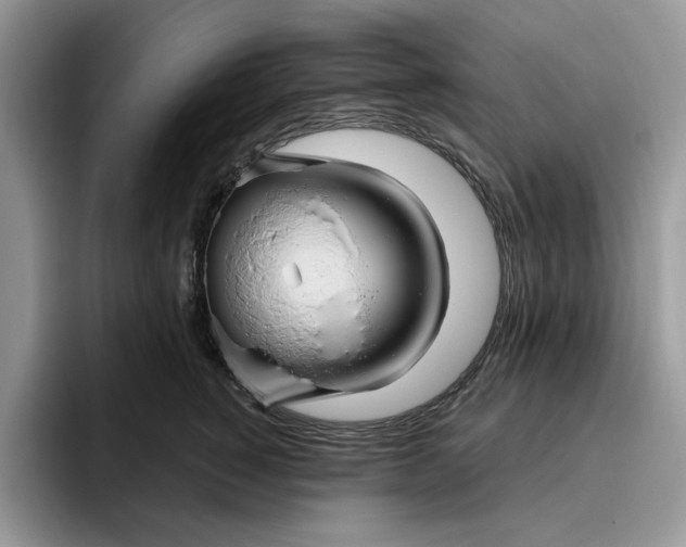 X0000095960760200801251150