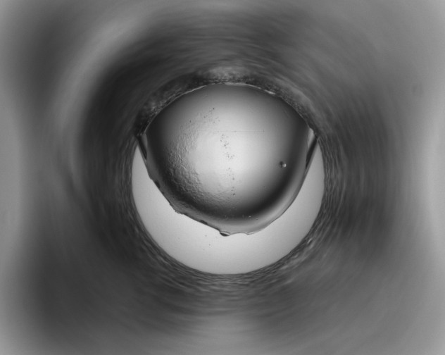 X0000095960762200801251150