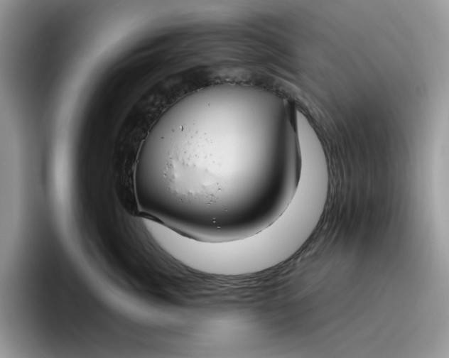 X0000095960764200801251150