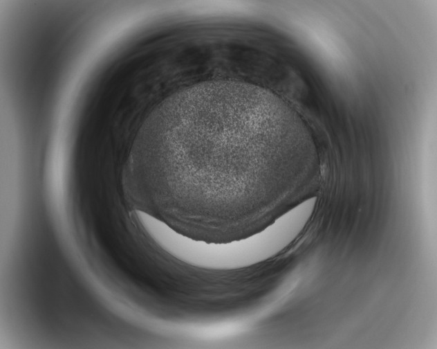 X0000095960765200801251150