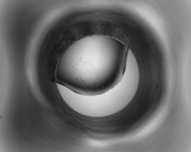 X0000095960766200801251150