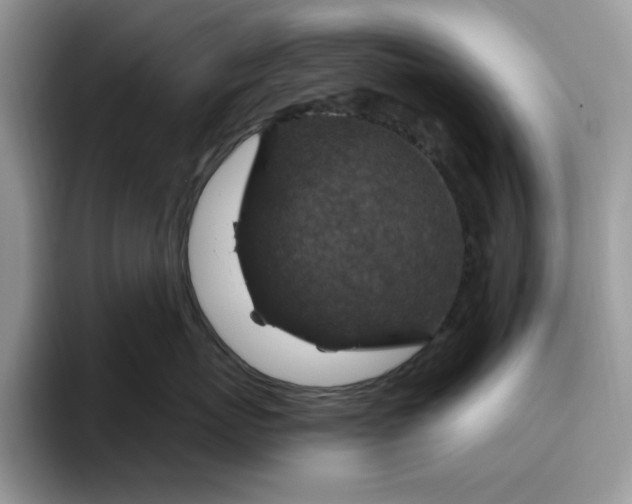 X0000095960767200801251150