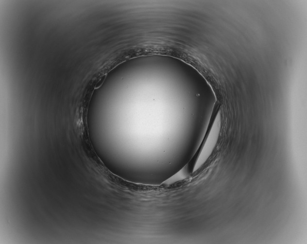 X0000095960771200801251149