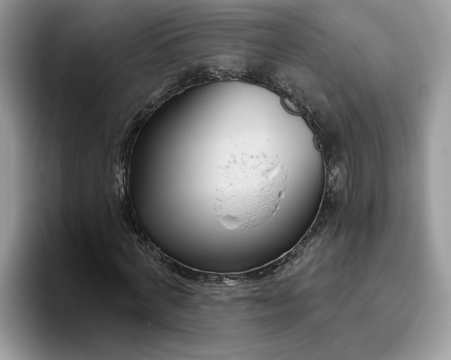 X0000095960772200801251149