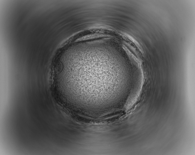 X0000095960775200801251149