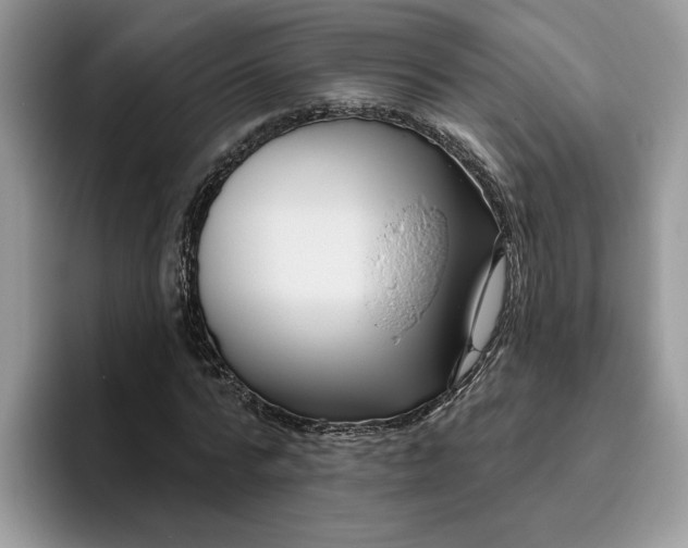 X0000095960776200801251149