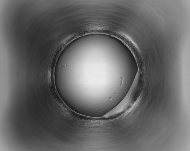 X0000095960777200801251149