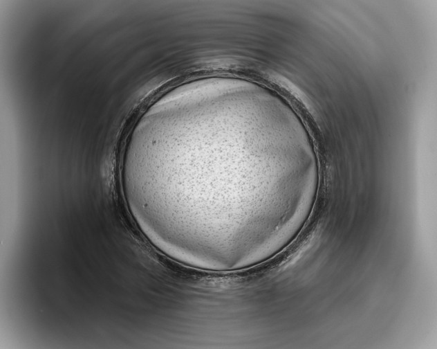 X0000095960778200801251149