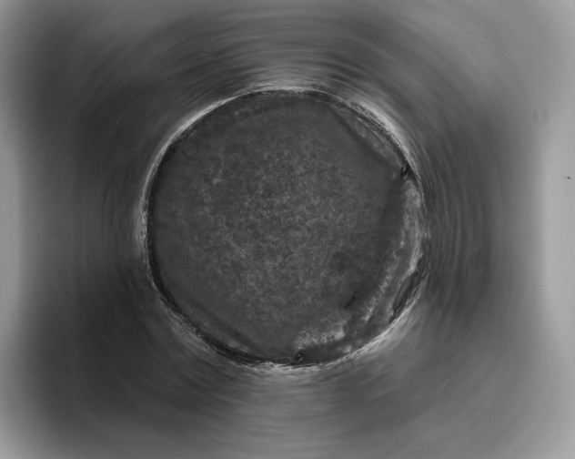 X0000095960779200801251149