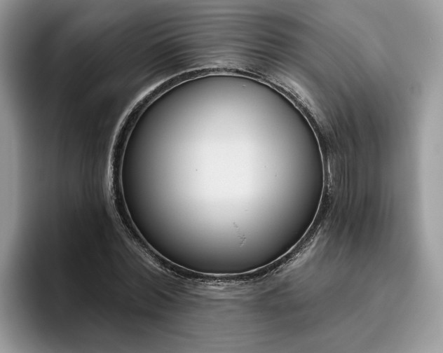 X0000095960780200801251149