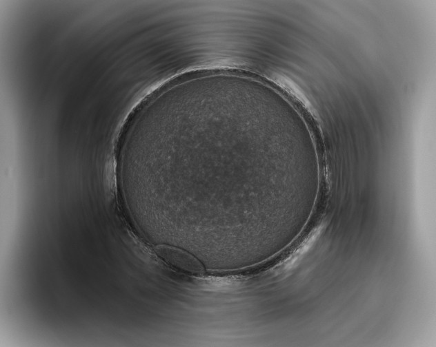 X0000095960781200801251149