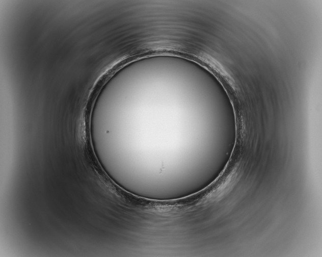 X0000095960782200801251149