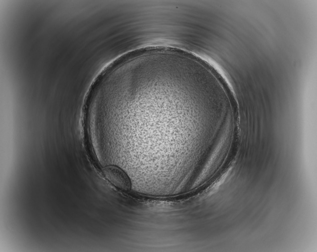 X0000095960783200801251149