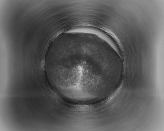 X0000095960785200801251149