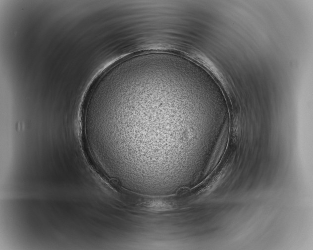 X0000095960787200801251149