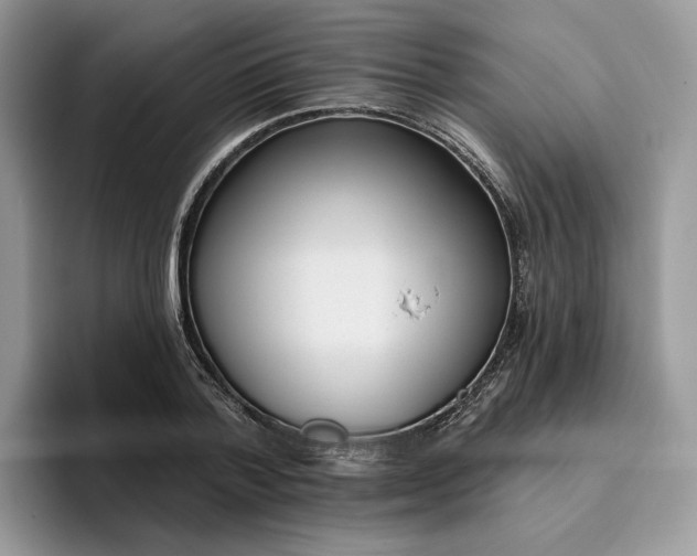 X0000095960788200801251149