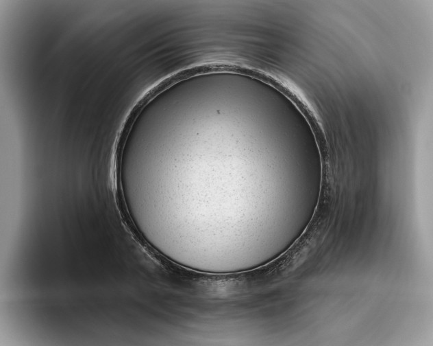 X0000095960791200801251149