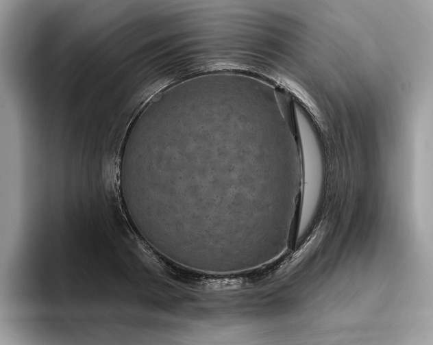 X0000095960793200801251149