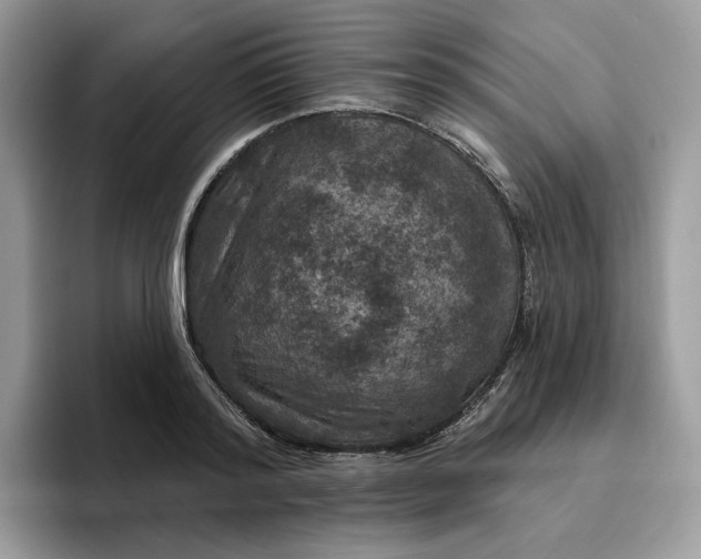 X0000095960796200801251149