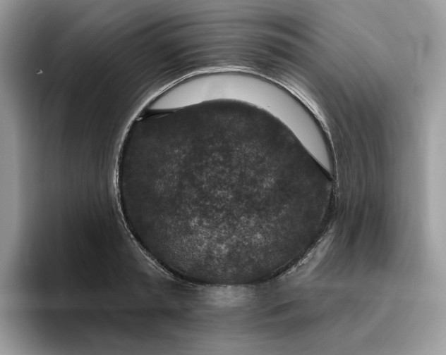 X0000095960797200801251149