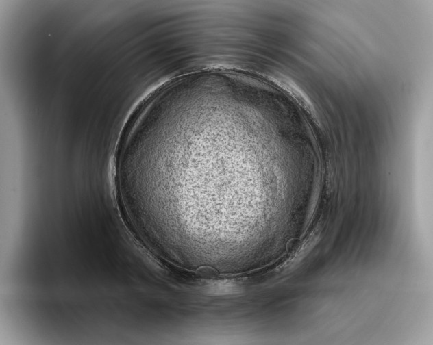 X0000095960798200801251149