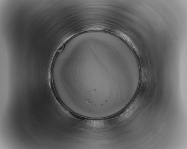 X0000095960802200801251149