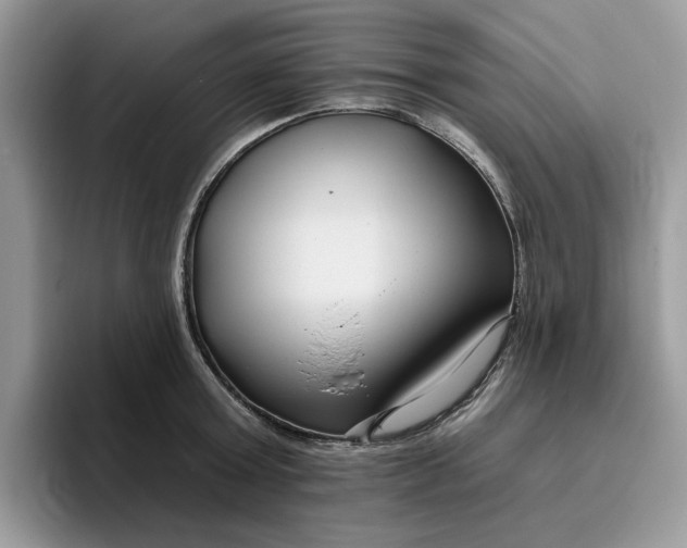 X0000095960803200801251149