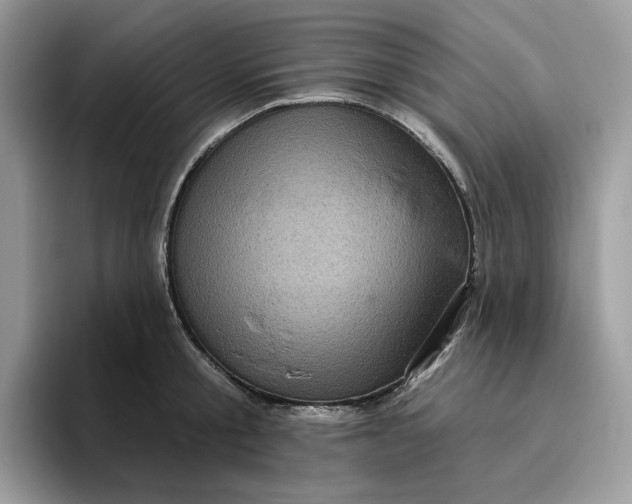 X0000095960805200801251149