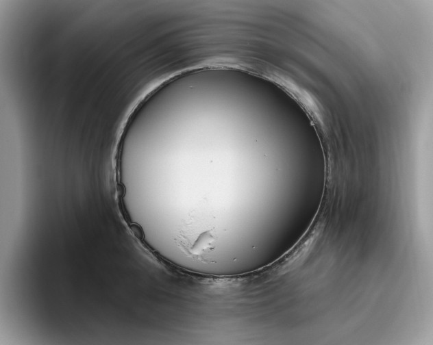 X0000095960808200801251149